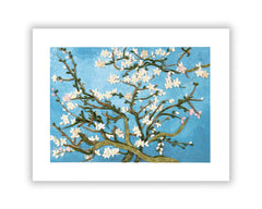 Art-Size Artist Series - Quilled Almond Blossoms, van Gogh