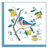 Quilled Bluebird with Lemons & Blueberries Greeting Card