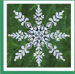 Quilled Snowflake on Pine Greeting Card