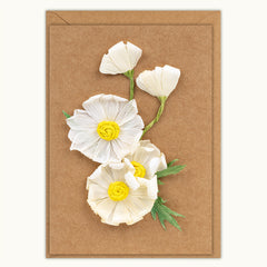 Daisies Handmade Card