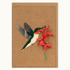 Hummingbird Handmade Card