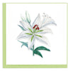 Quilled Madonna Lily Bloom Greeting Card