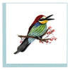 Quilled Bee-eater Greeting Card